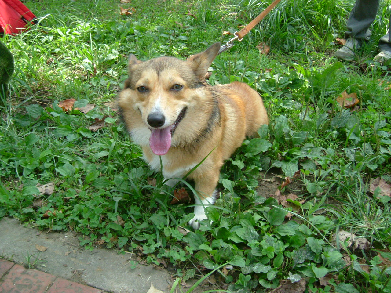 c0082567_2334562.jpg