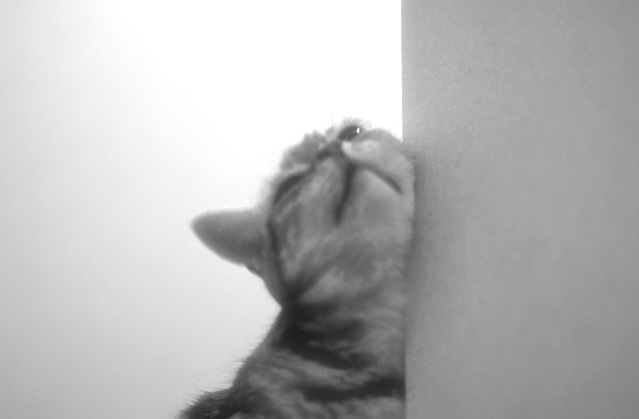 c0026870_11541692.jpg