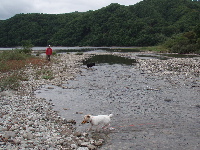 f0045872_1150069.jpg