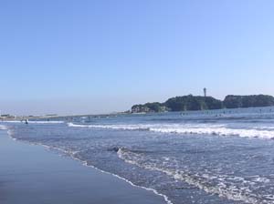 d0041074_15391719.jpg