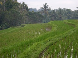 b0101284_09203.jpg