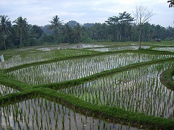 b0101284_09419.jpg