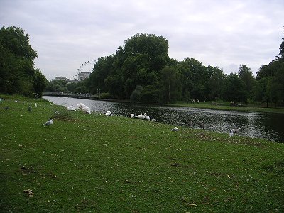 f0093592_1973976.jpg