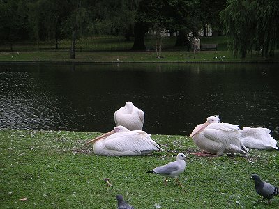 f0093592_1975089.jpg