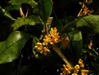d0045295_2021921.jpg