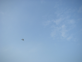 d0045295_2052948.jpg