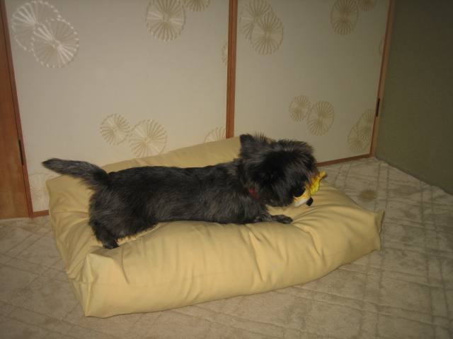 d0009101_15242226.jpg