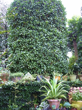 f0065604_2231444.jpg