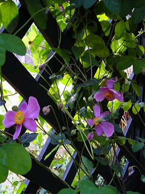 f0065604_2232489.jpg