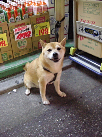 a0024005_1335492.jpg