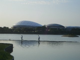 b0061107_23254167.jpg