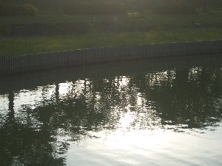b0061107_23255611.jpg