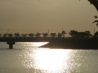 b0061107_23261224.jpg
