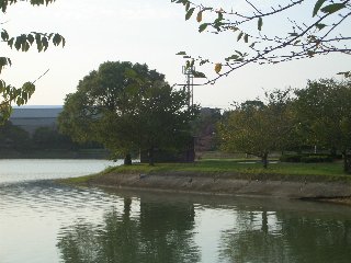 b0061107_232626100.jpg
