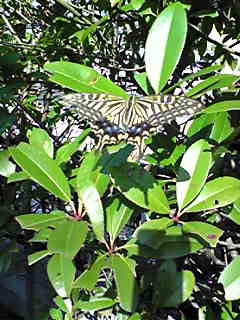 f0084010_2121298.jpg