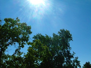 f0011322_10312829.jpg