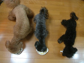 d0023323_22443710.jpg