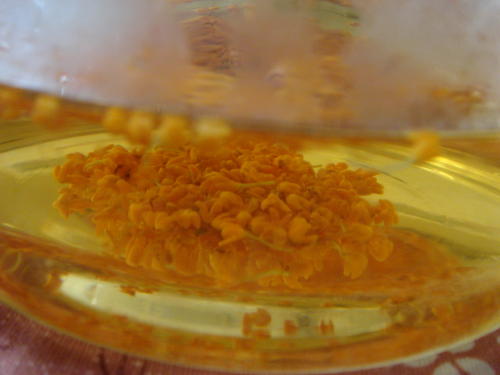 f0023625_10261214.jpg