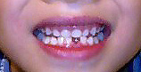 f0039934_0454455.jpg