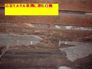 f0031037_1711691.jpg