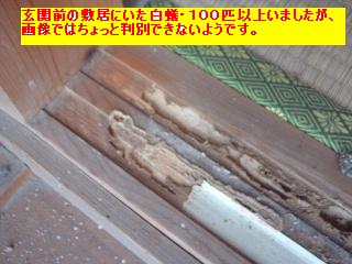 f0031037_1714879.jpg