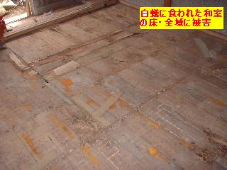 f0031037_1722776.jpg