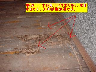 f0031037_1723571.jpg