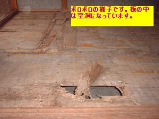 f0031037_1724445.jpg