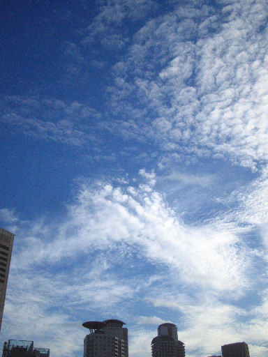 c0032138_9253146.jpg