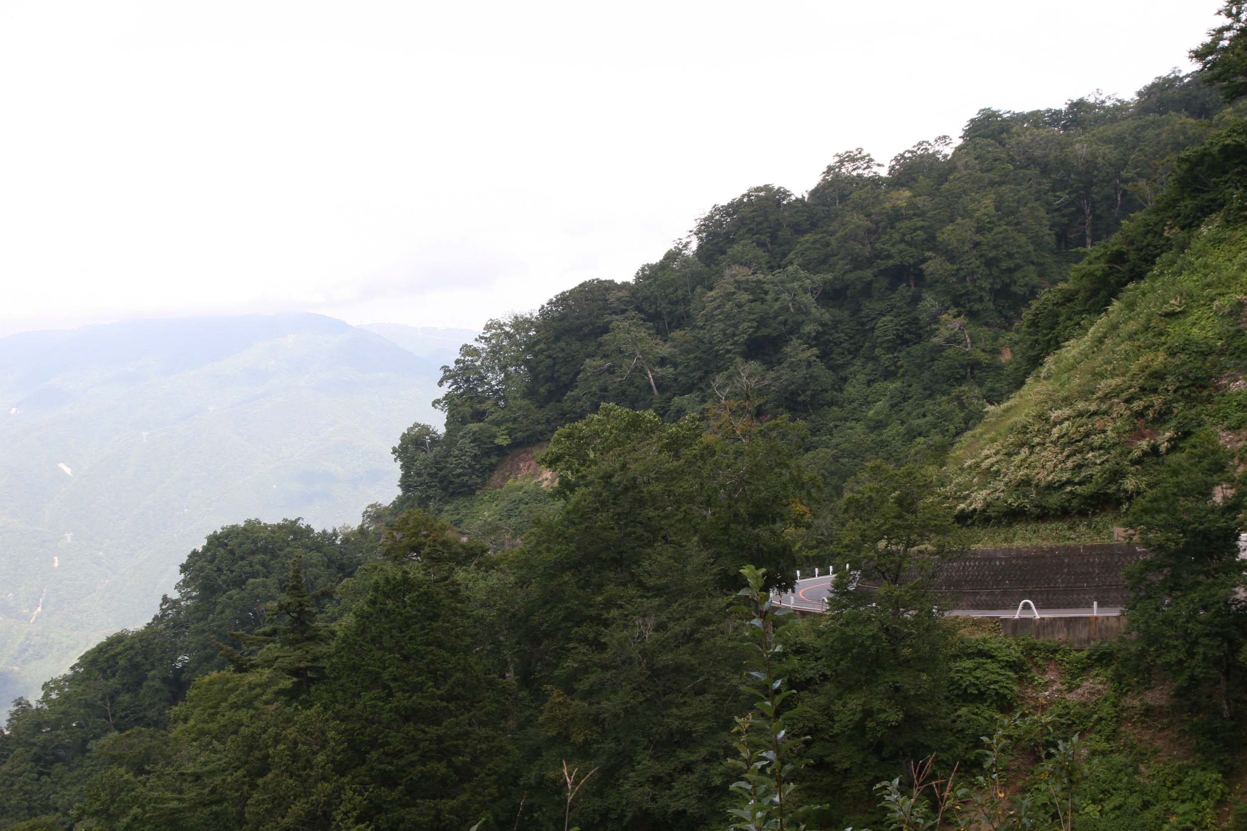 a0076043_2375835.jpg