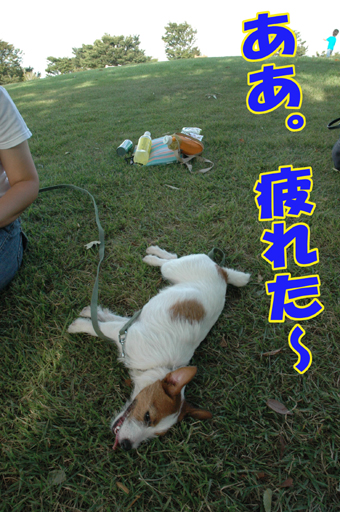 f0035044_1046586.jpg