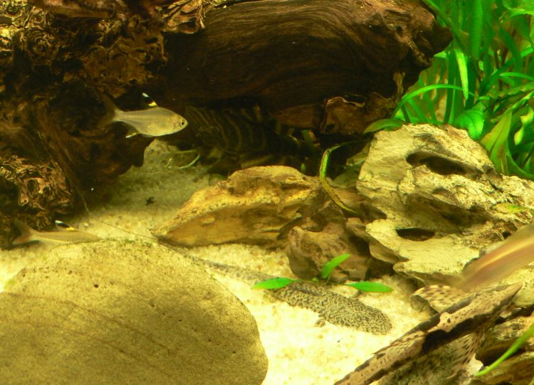 e0072757_042015.jpg