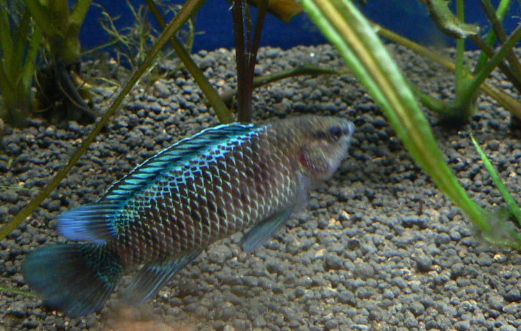 e0072757_081079.jpg