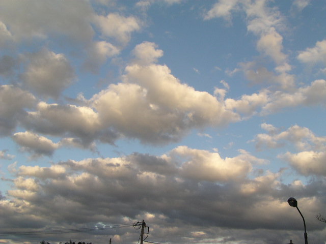f0074659_1624575.jpg