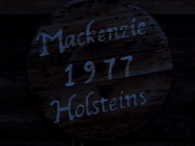 d0052770_1152135.jpg