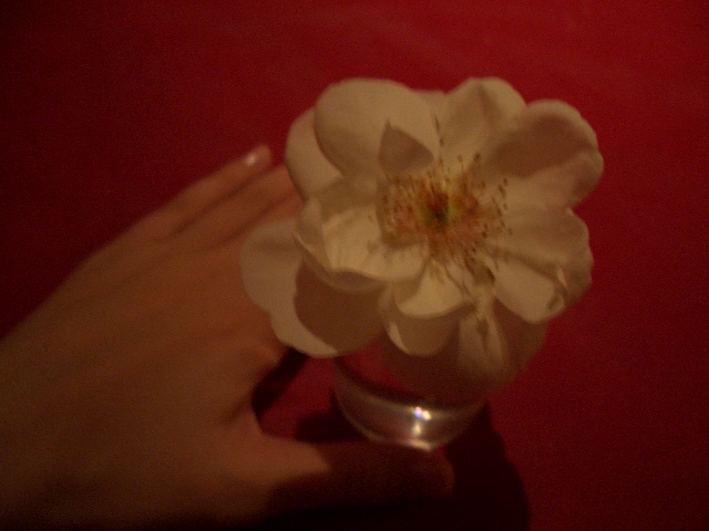 d0052770_121639.jpg