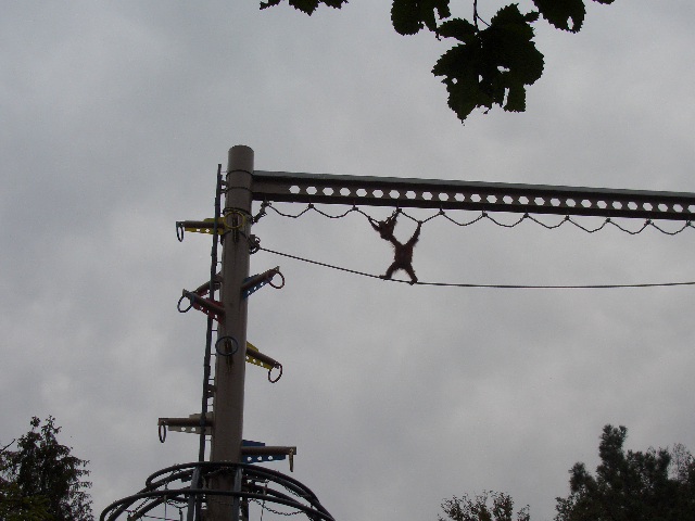 d0052770_2237069.jpg