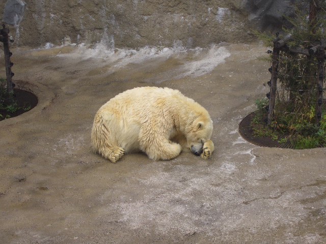 d0052770_22453360.jpg