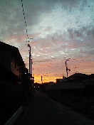d0094078_17531890.jpg