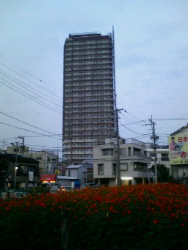 f0089079_4411274.jpg