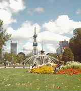 b0000885_12231168.jpg