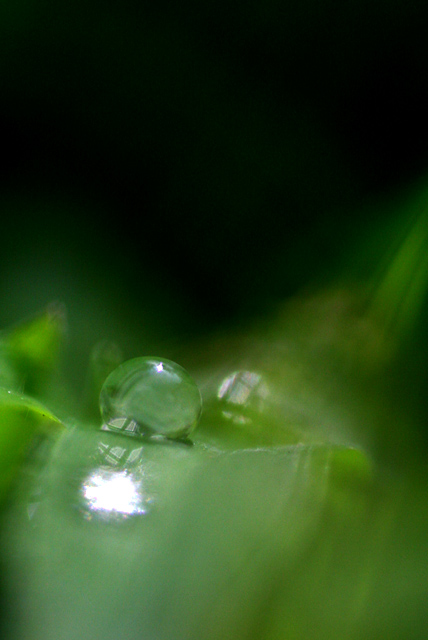 b0067789_22552464.jpg