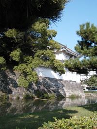 a0079292_9521419.jpg