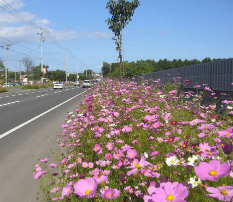 f0029393_9403951.jpg
