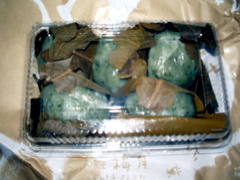 a0061594_23511095.jpg