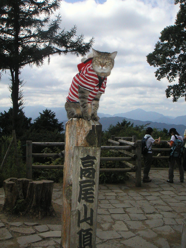 e0031605_183767.jpg