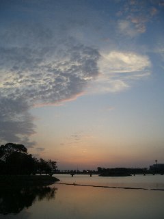 b0061107_2258652.jpg
