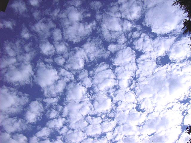 b0032921_1831630.jpg