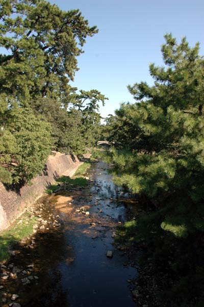 c0059521_16172227.jpg