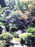 a0063926_21582619.jpg